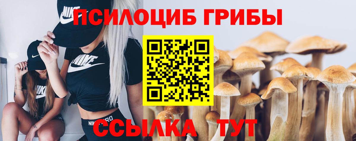 Галлюциногенные грибы Psilocybine cubensis  где купить   Омск  Вход с VPN 